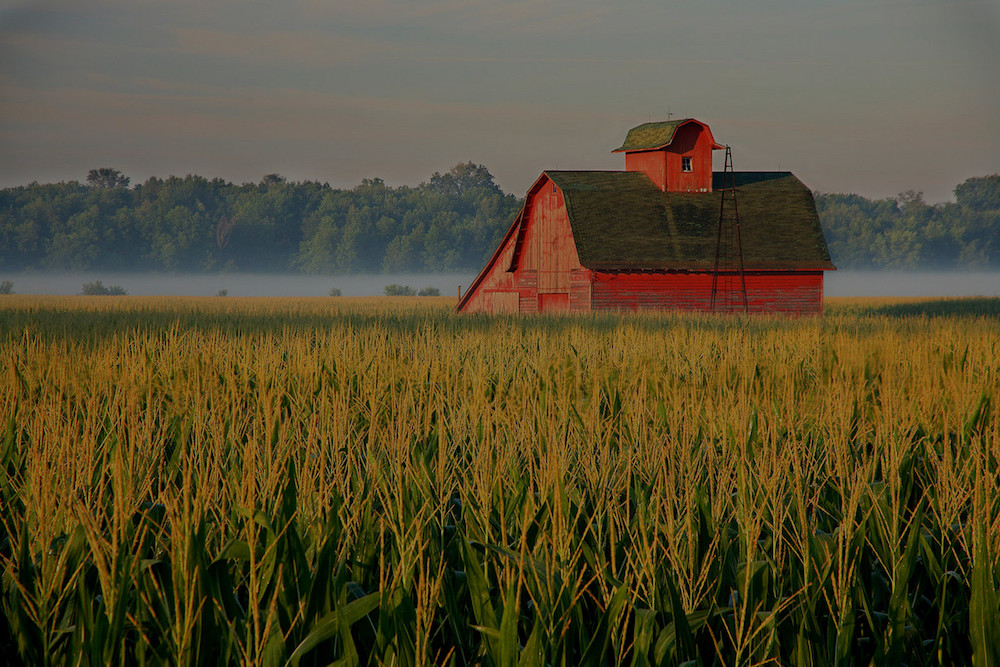 farm and crop insurance Mendon IL